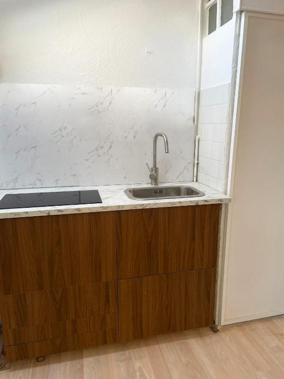 une cuisine avec un évier et un plan de travail dans l'établissement Chic studio Palais 2 min away, à Cannes