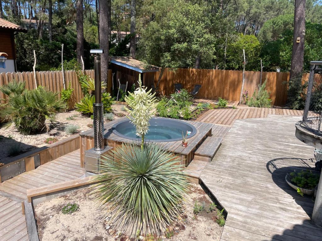 Photo de la galerie de l'établissement Le Petit Havre in summer, à Lacanau-Océan