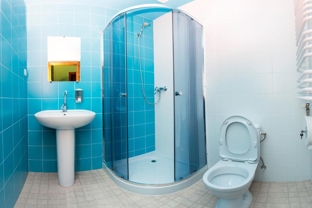 Koupelna v ubytování Dream Hostel Carpathians Rakhiv