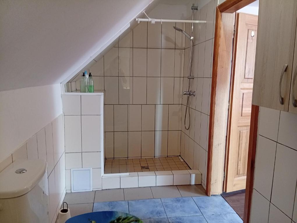 Koupelna v ubytování Bohemica Apartman 4