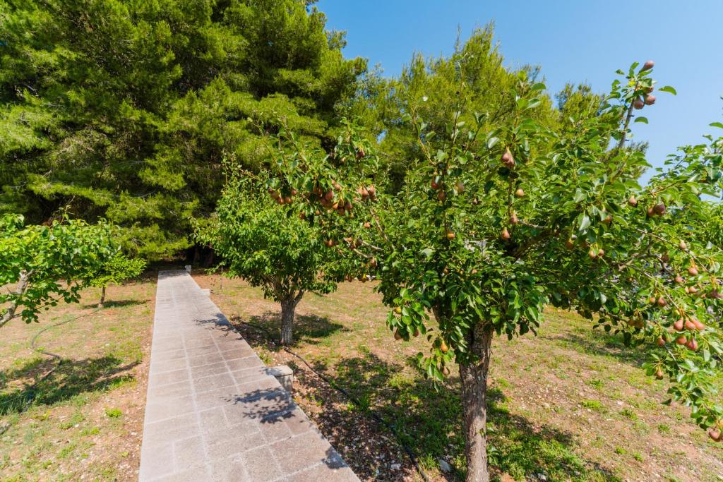Kép Casa Vacanza Plautilla - Salento Selection szállásáról Magliében a galériában