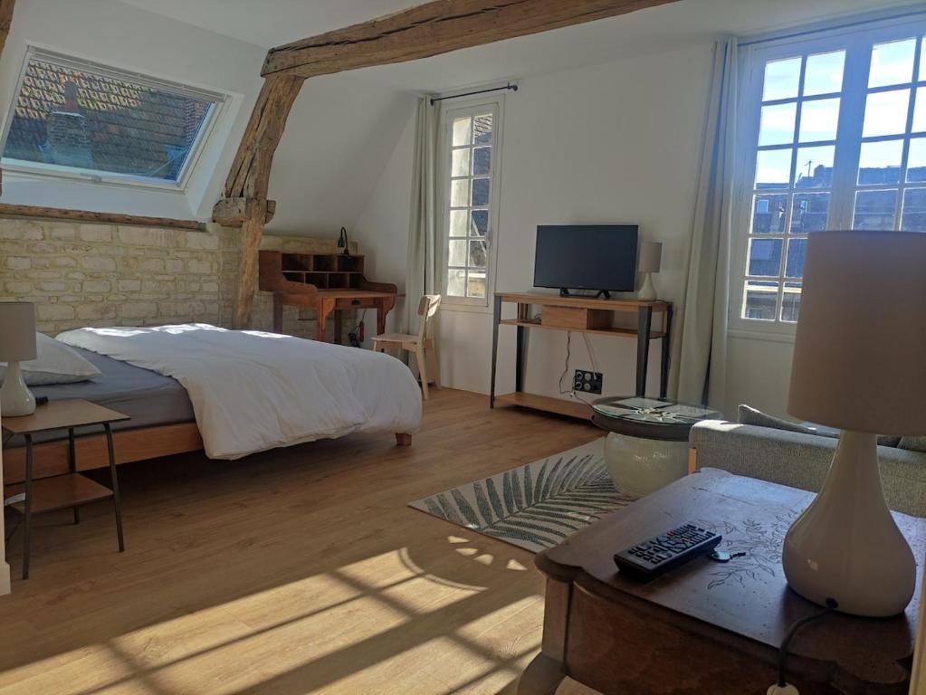 Cet appartement comprend une chambre avec un lit et un salon avec une télévision. dans l'établissement Centre Historique de Caen, à Caen