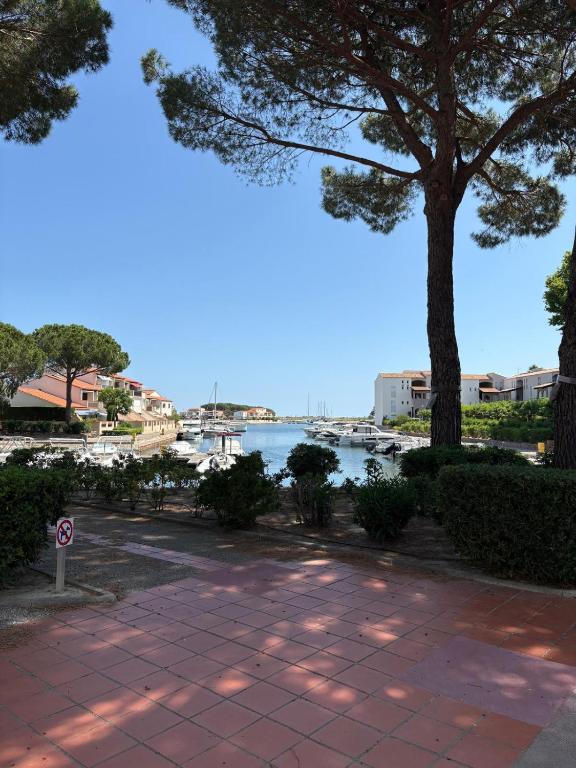 un arbre et un trottoir à côté d'un plan d'eau dans l'établissement Appart en RDC avec grandre terrasse sur la Marina, à Saint Cyprien Plage