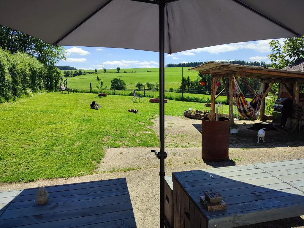 ReuthFerienhaus Eifel Lotti的操场前的一把遮阳伞