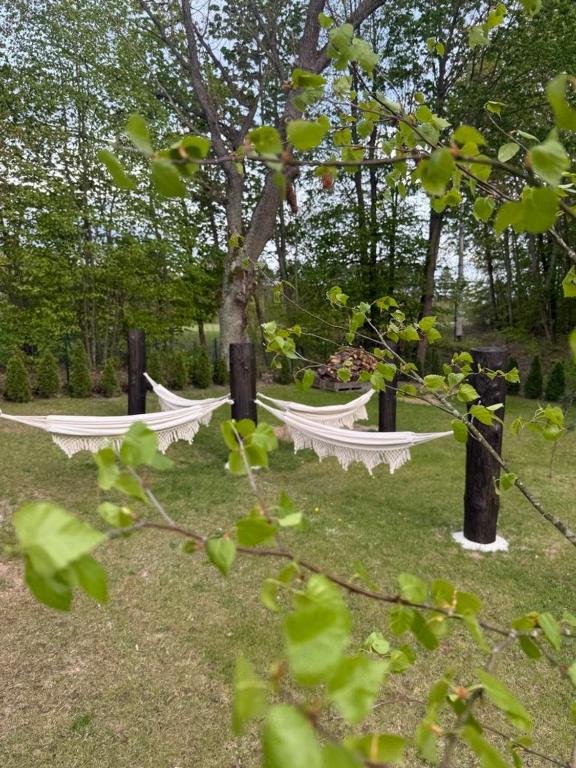 Vonkajšia záhrada v ubytovaní Domki letniskowe Wczasy jak Marzenie