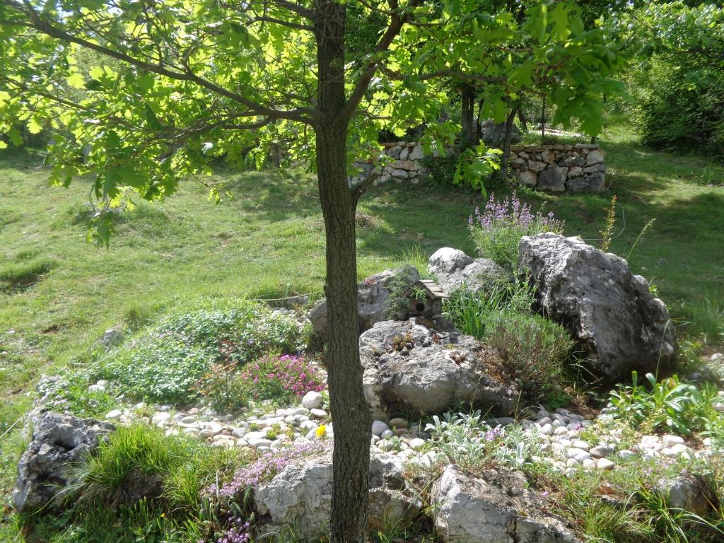einen Steingarten mit einem Baum und einigen Felsen in der Unterkunft Apartman Romansa Čitluk sa 4 spavaće sobe in Čitluk