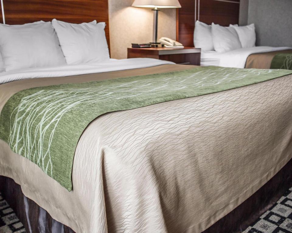 Quality Inn - Queen Room With Two Queen Beds - Non-Smoking