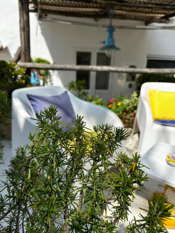 a plant sitting on a table next to a chair at La Bella Annacapri in Anacapri