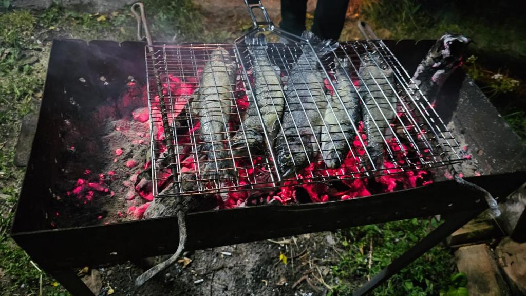 Barbacoa de l'hostal o pensió