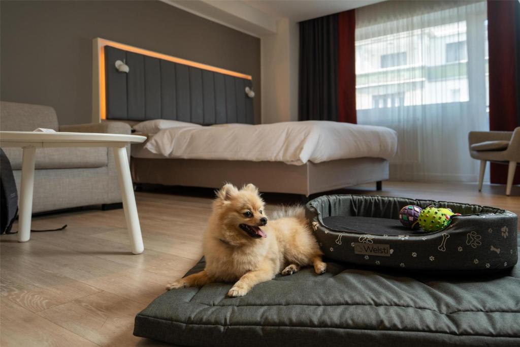 Park Inn by Radisson Bucharest Hotel & Residence - Resim 30