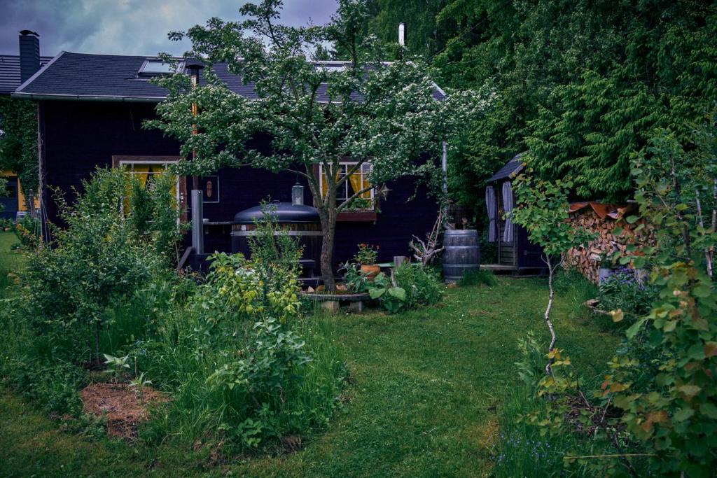 Zahrada ubytování Blickinsfreie - Cabin