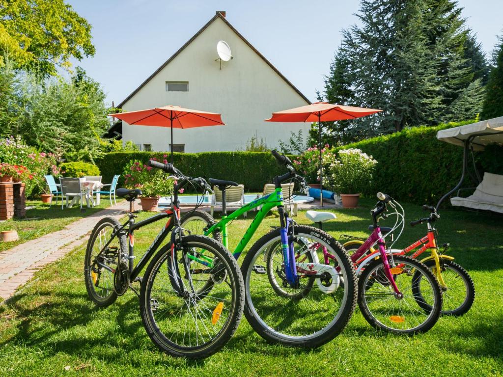 Jízda na kole v ubytování Holiday Home Flamingo by Interhome nebo okolí