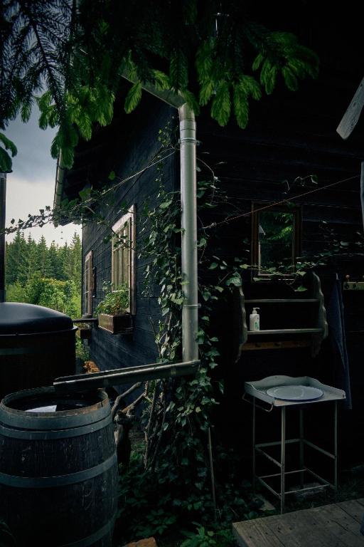 Zahrada ubytování Blickinsfreie - Cabin