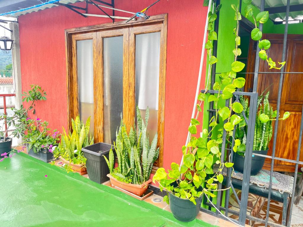 a group of potted plants sitting outside of a house at Jireh guesthouse in Antigua Guatemala