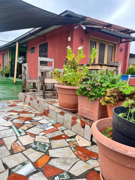 a patio with potted plants in front of a house at Jireh guesthouse in Antigua Guatemala