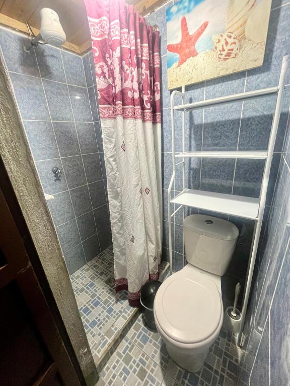 a small bathroom with a toilet and a shower at Jireh guesthouse in Antigua Guatemala
