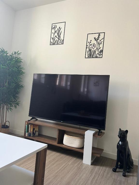 Televízia a/alebo spoločenská miestnosť v ubytovaní La Parisienne - 80m2