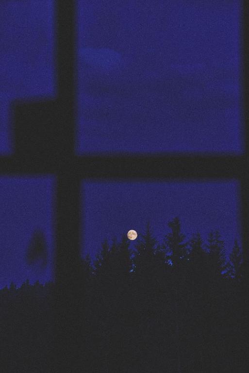 Fotografie z fotogalerie ubytování Blickinsfreie - Cabin v destinaci Schöneck