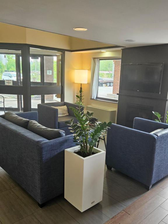 a living room with two blue couches and a plant at Comfort Inn in Parry Sound