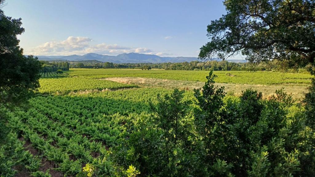 Photo de la galerie de l'établissement Sud de France, lieu calme & nature, à Brignac