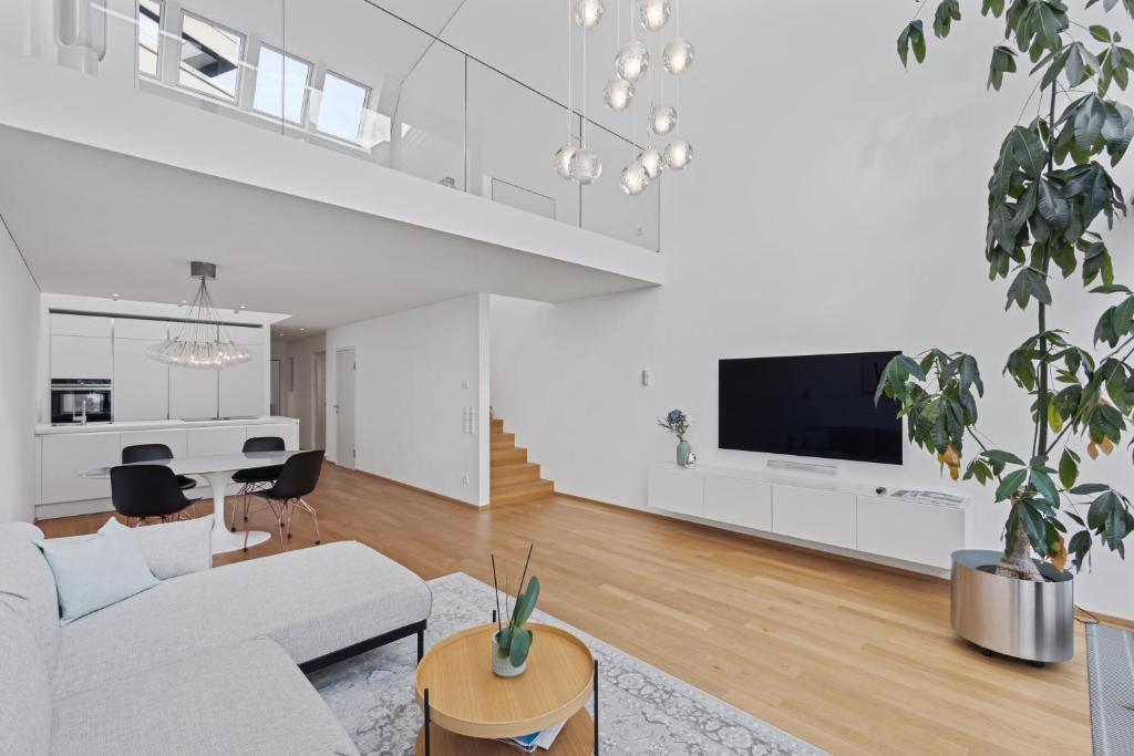 TV a/nebo společenská místnost v ubytování Bodensee Loft in Strandnähe