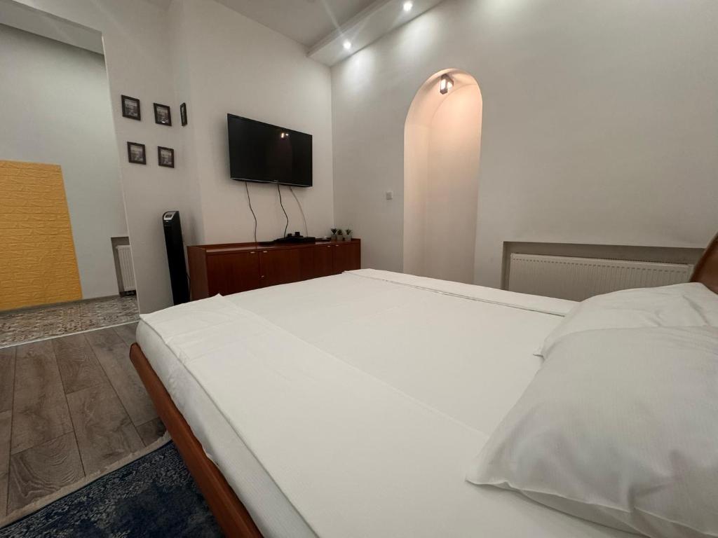 Sarajevo Center Apartment - 