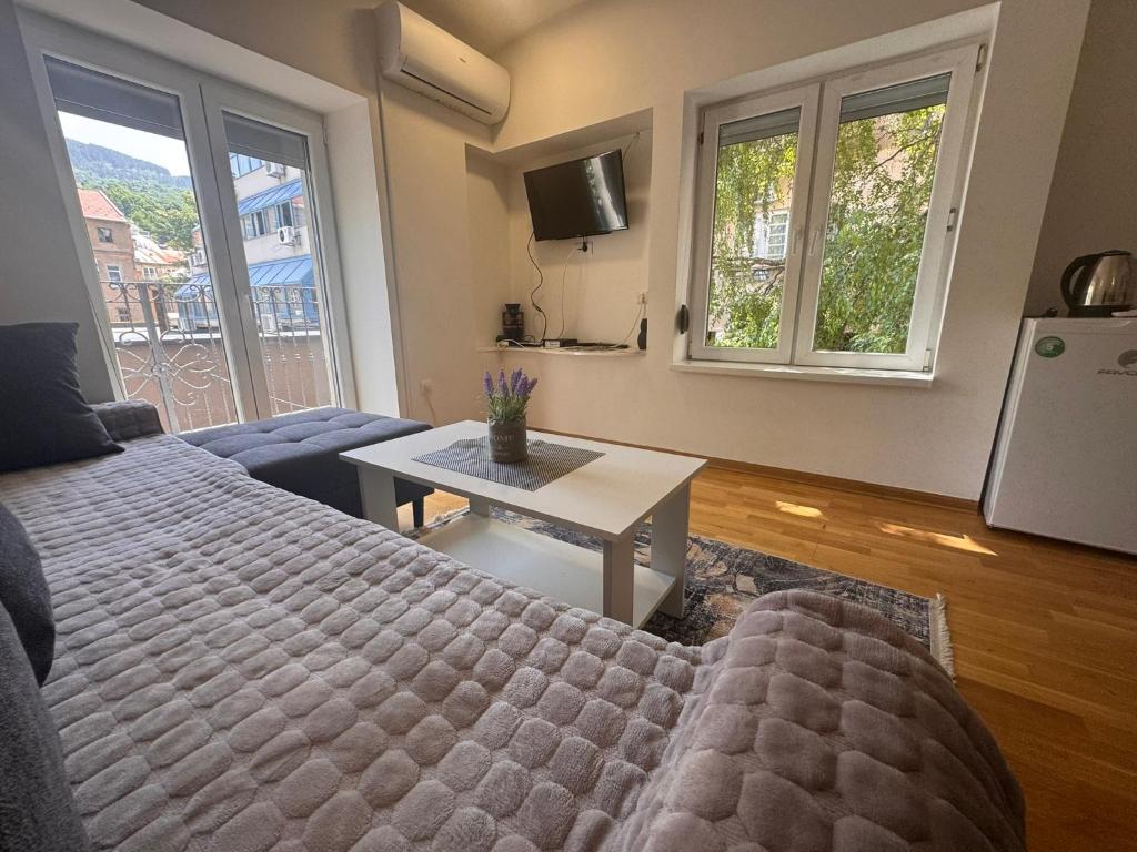 Sarajevo Center Apartment - 