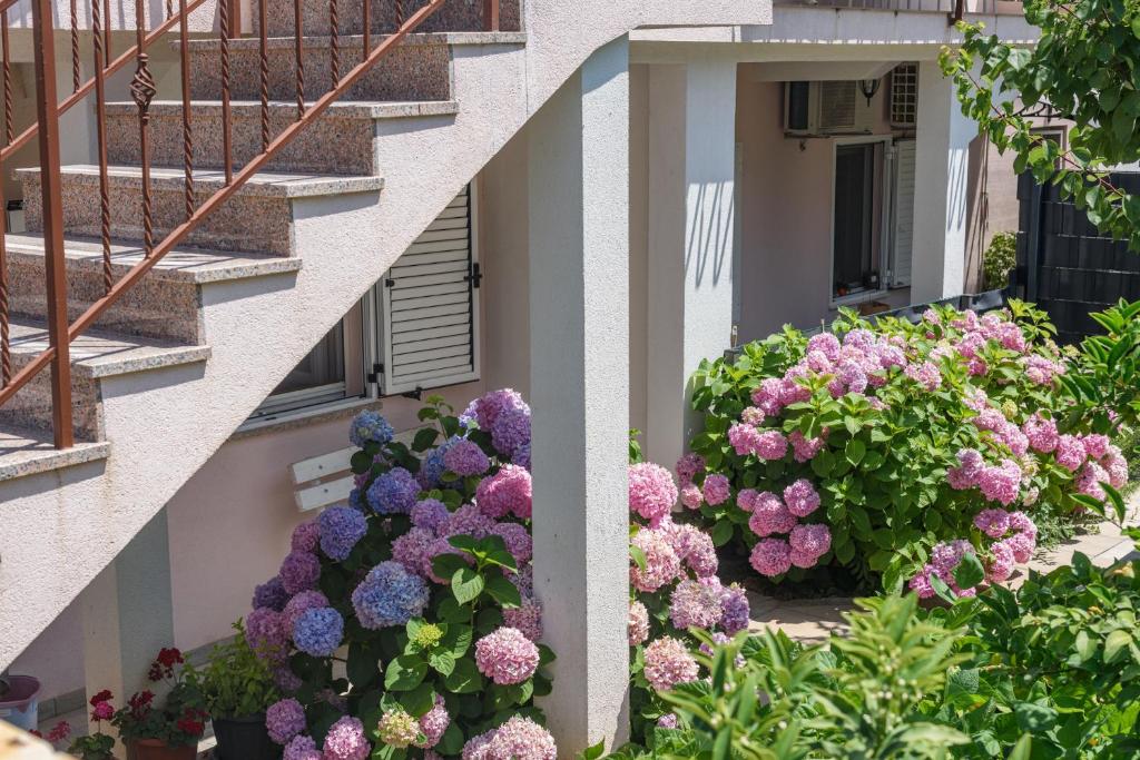 Zahrada ubytování Apartmani Gaby