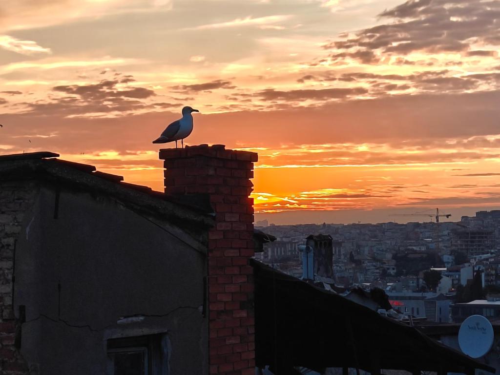 Východ nebo západ slunce při pohledu z apartmánu nebo okolí