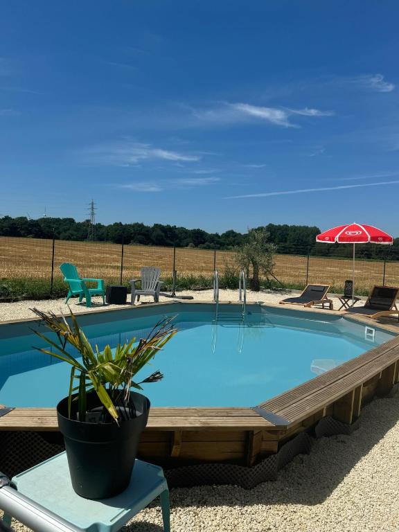 une grande piscine avec une plante en pot et un parasol dans l'établissement Maison calme en campagne, à Archingeay