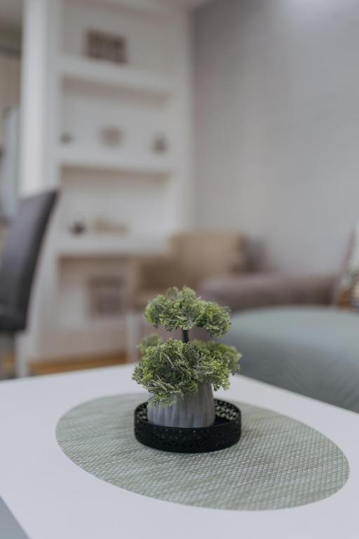 a small bonsai tree sitting on top of a table at Apartman Vukota Pirot in Pirot