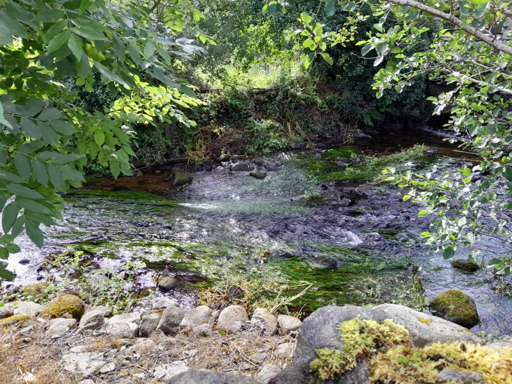 Paesaggio naturale nelle vicinanze del campeggio