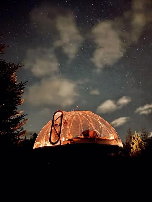 Fotografie z fotogalerie ubytování Glass Igloo With Panoramic Views In Åsbygda v destinaci Jevnaker