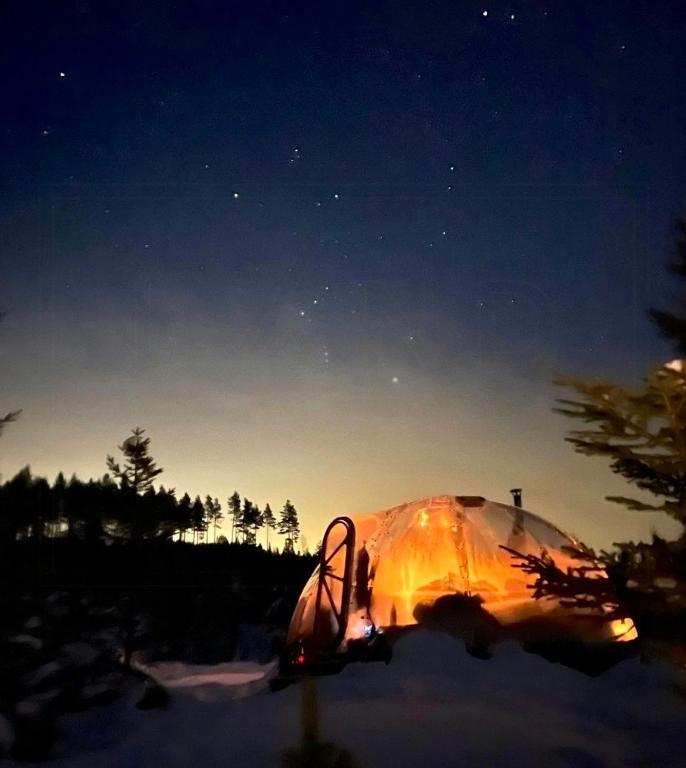 Hosté ubytování Glass Igloo With Panoramic Views In Åsbygda
