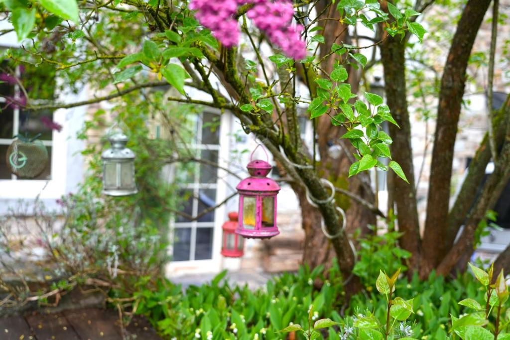 a pink lantern hanging from a tree in front of a house at Chez Gégé - Maison d'hôtes in Trooz