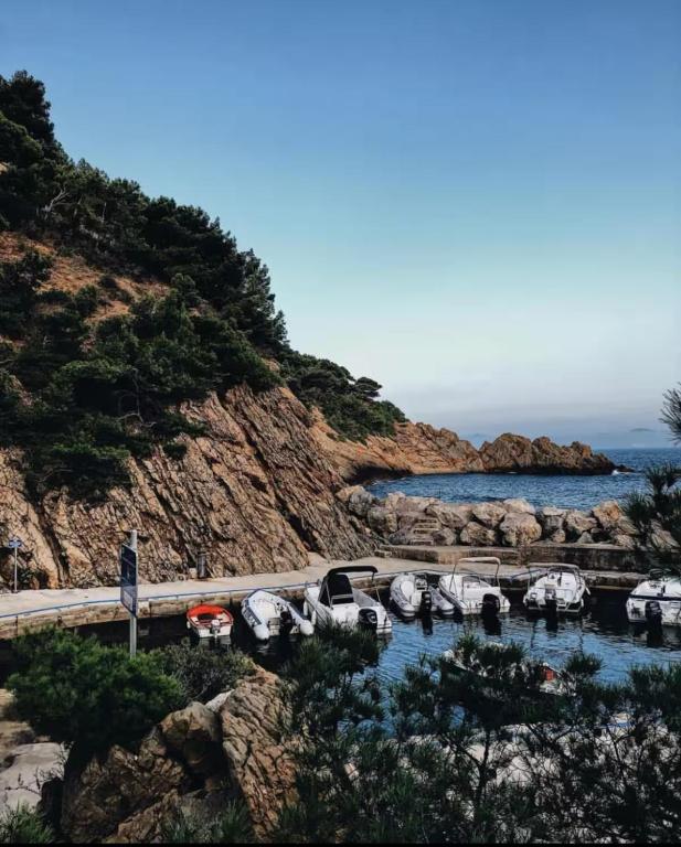Un tas de bateaux sont garés dans un port dans l'établissement Évasion en bord de mer - T2 au coeur des calanques, à Ensuès-la-Redonne