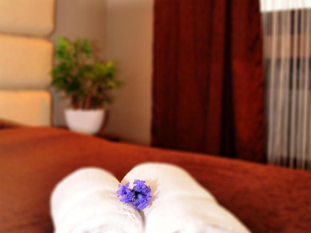 Postel nebo postele na pokoji v ubytování Hotel Petrus