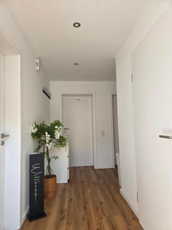 an empty hallway with a potted plant in the middle at Kezara Living in Konz
