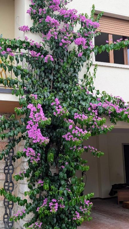 a bunch of purple flowers growing on a wall at Lake Garda Renovated Apartment in Torri del Benaco