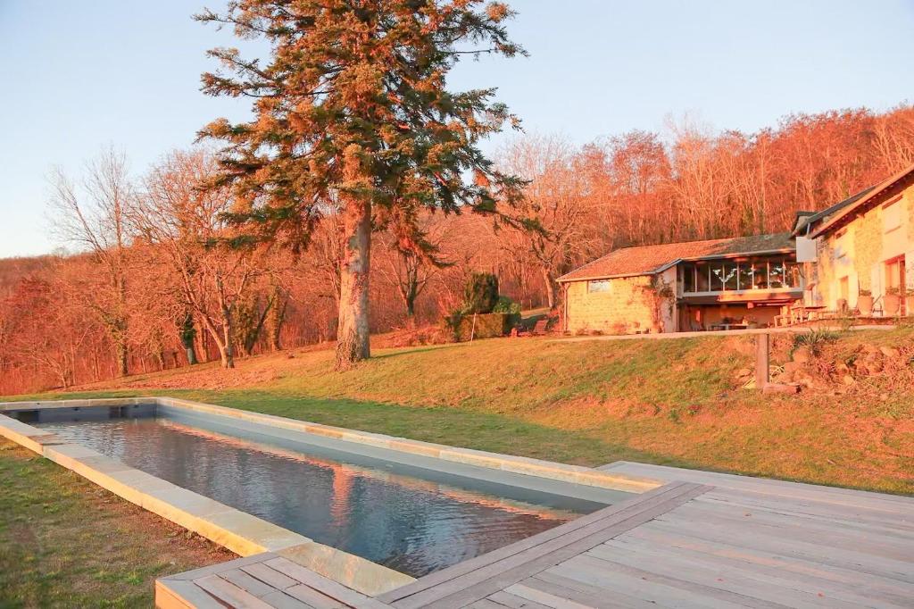 RégniéにあるFamily Home In The Heart Of Beaujolaisの家の庭にあるプール