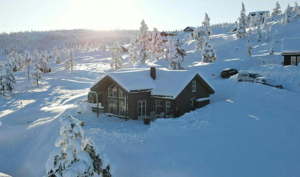 ein schneebedecktes Haus in einem schneebedeckten Wald in der Unterkunft Modern Family Cabin By Gautefall Ski Trails in Gautefall