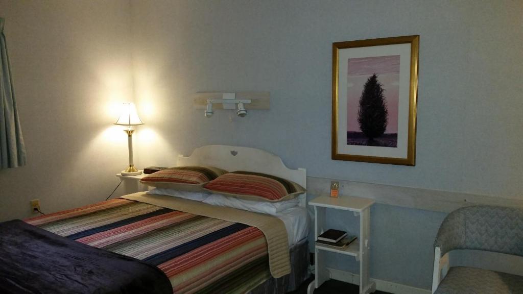Postel nebo postele na pokoji v ubytování Pinecone Motel