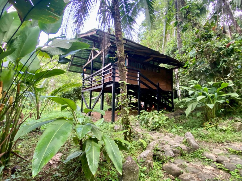 Zahrada ubytování Posada Madre Tierra