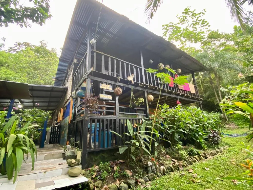 The 10 best accommodation in Bahía Solano, Colombia | Booking.com