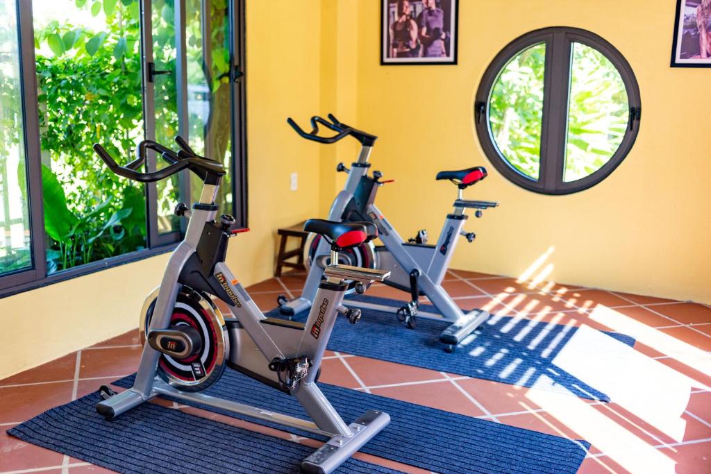 Fitness centrum a/nebo fitness zařízení v ubytování Serene Nature Hotel & Spa