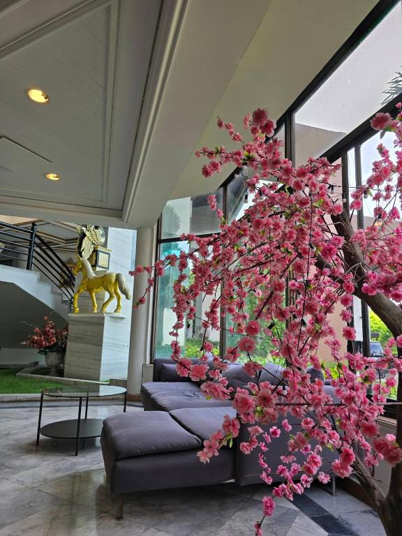 First Pacific Cirrus - Resim 10