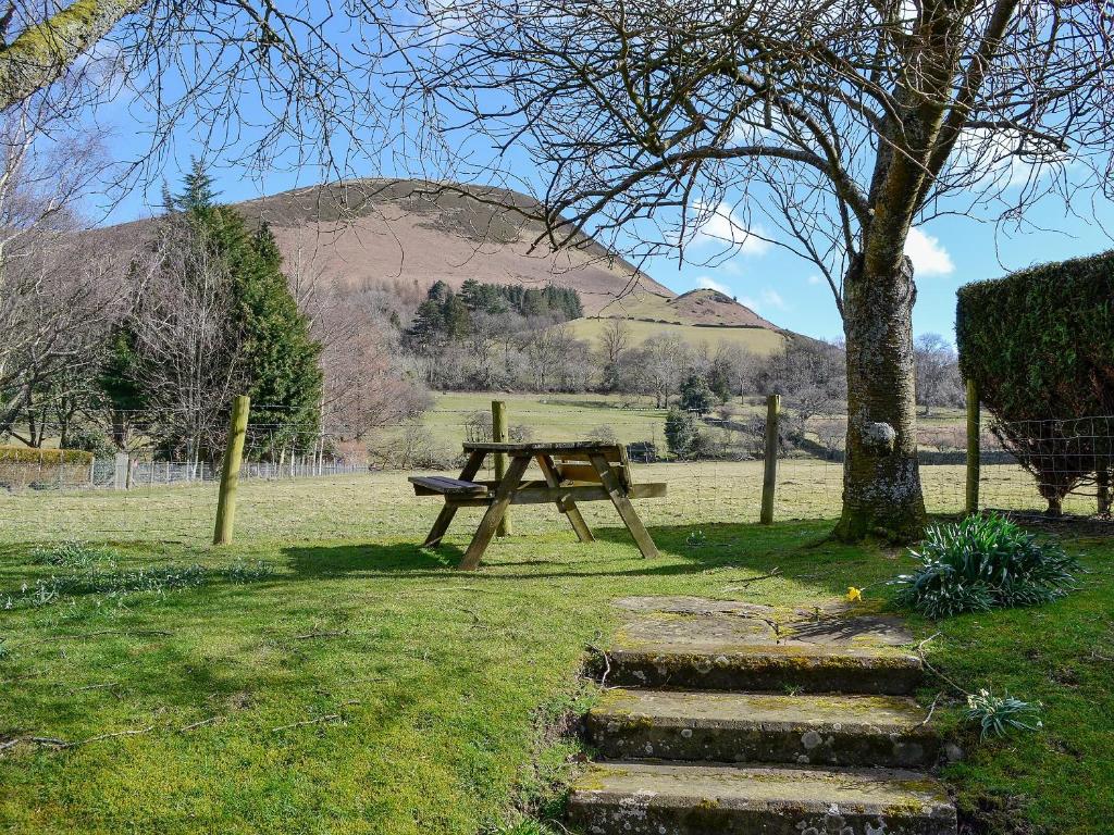 a picnic table and a tree with a mountain in the background at Melbreak in Lorton