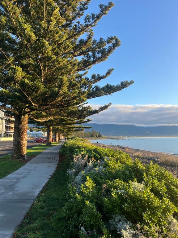 Kaikoura Beach Motel - Resim 39