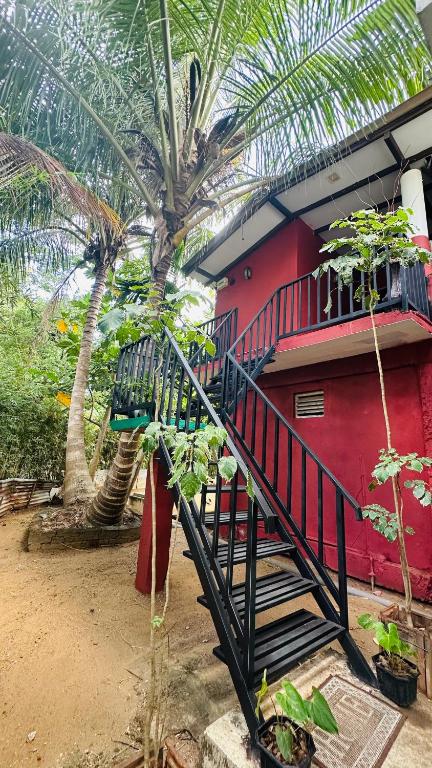 Zahrada ubytování Sigiriya Danu Homestay