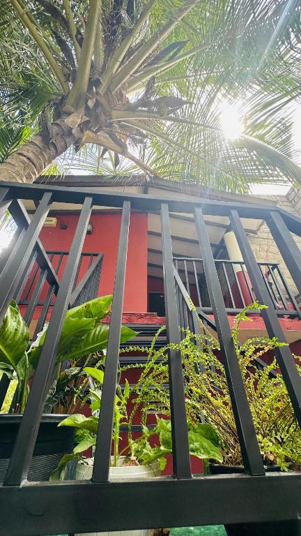 Zahrada ubytování Sigiriya Danu Homestay